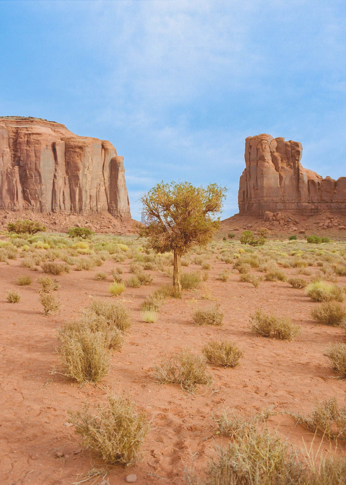 Monument Valley X | Lærredsbilleder