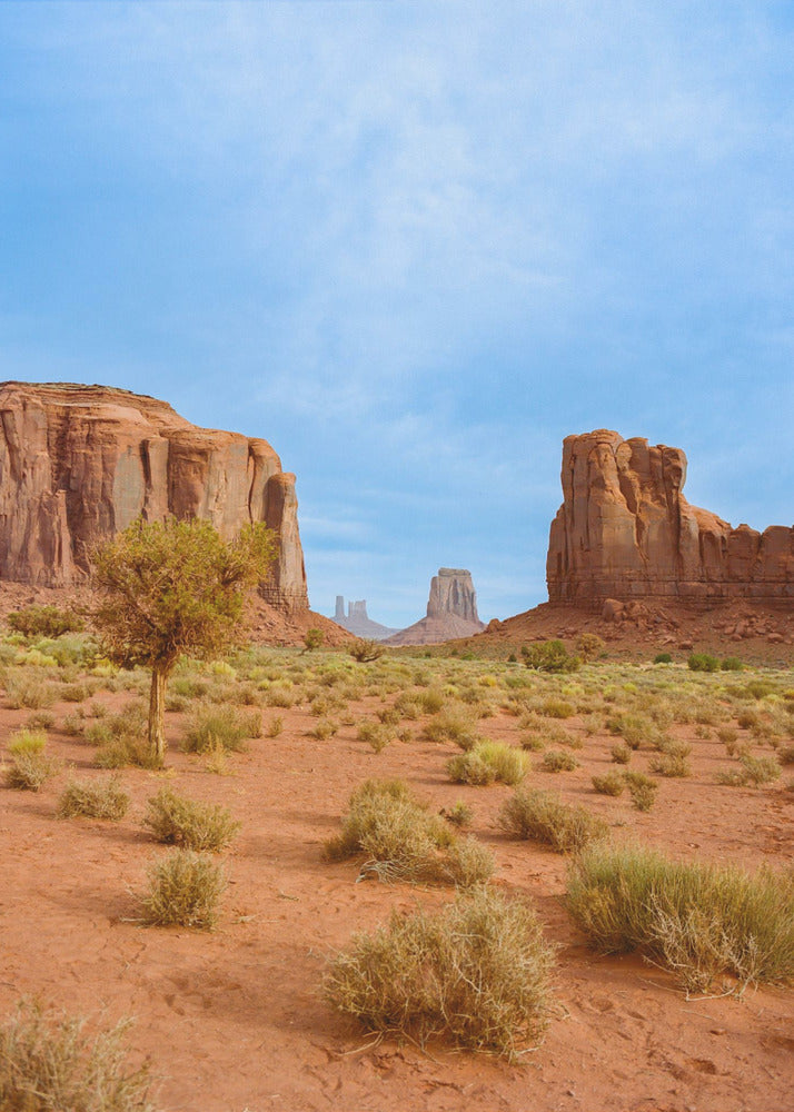 Monument Valley XII | Lærredsbilleder