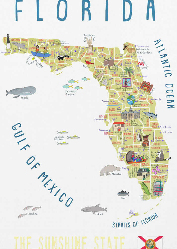 Mapa ilustrado de Florida por la artista Carla Daly | Impresiones en Lienzo