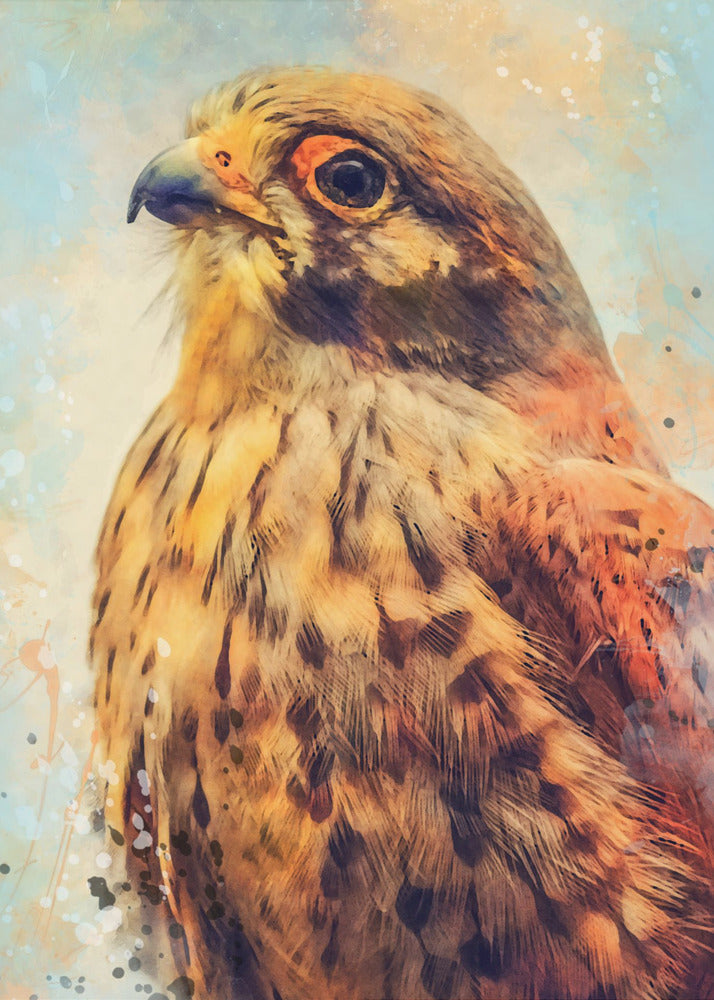 Animal Kestrel Watercolor Animal Art | Poster