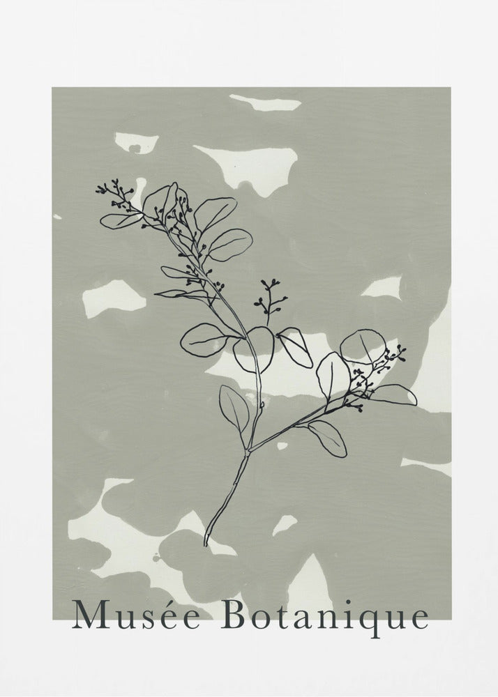 Abstractbotanicsno16 | Poster