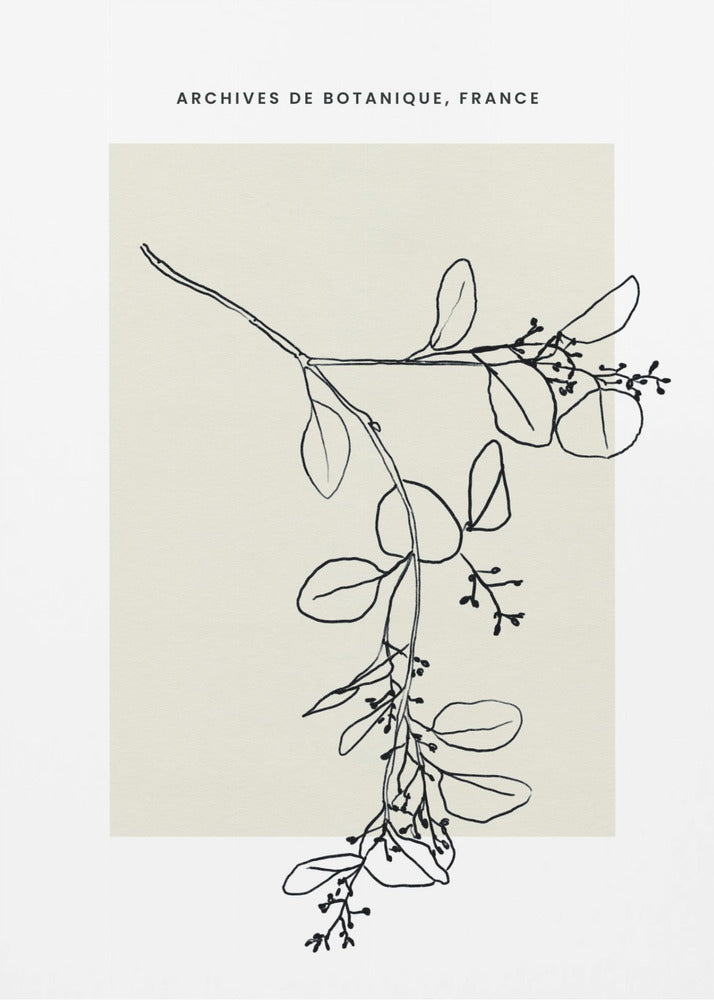 Abstractbotanicsno26 | Poster