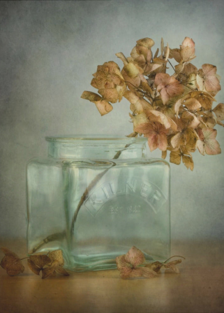 Hydrangea | Canvas