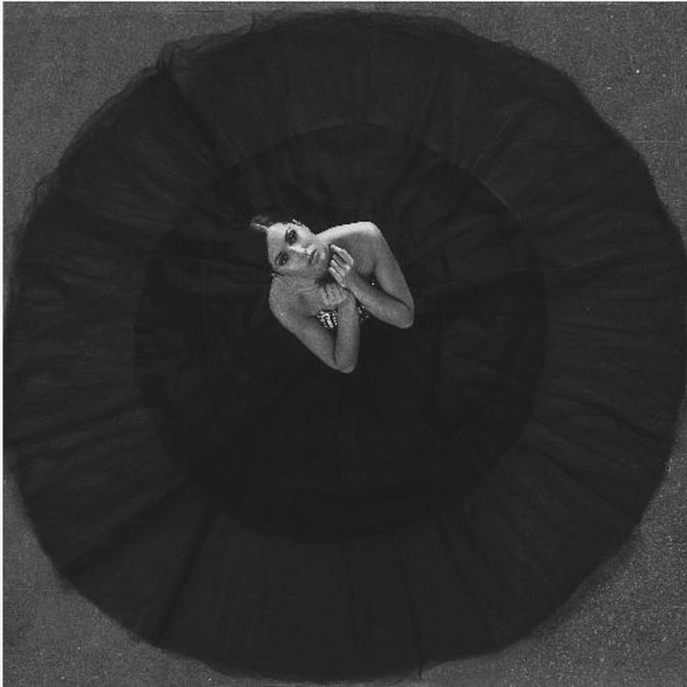 Cisne negro | Impresiones en Lienzo