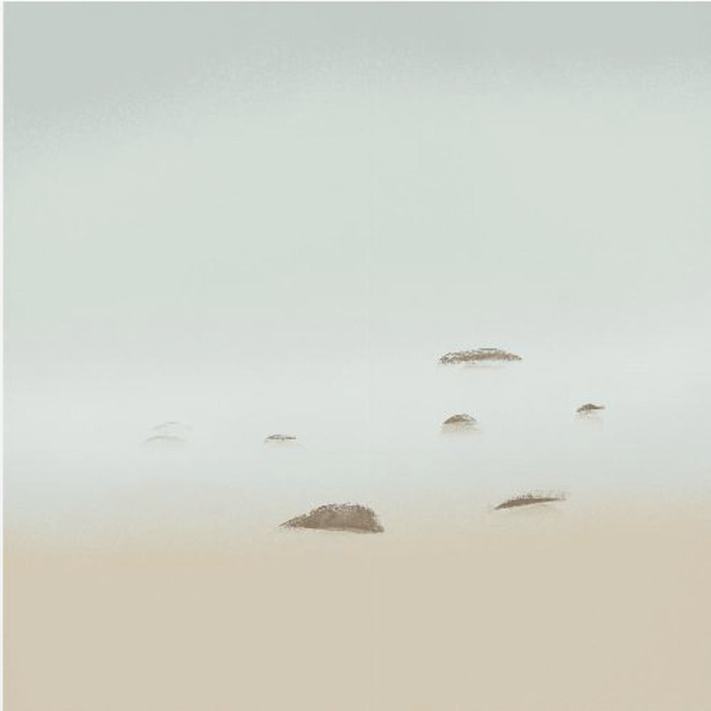 Viskningar av dimma | Canvas