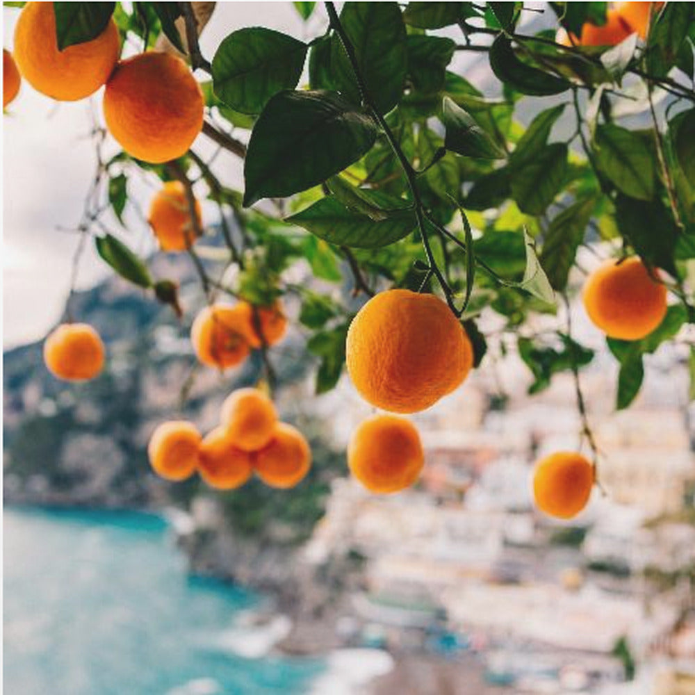 Orangen von der Amalfiküste | Leinwand-Bilder
