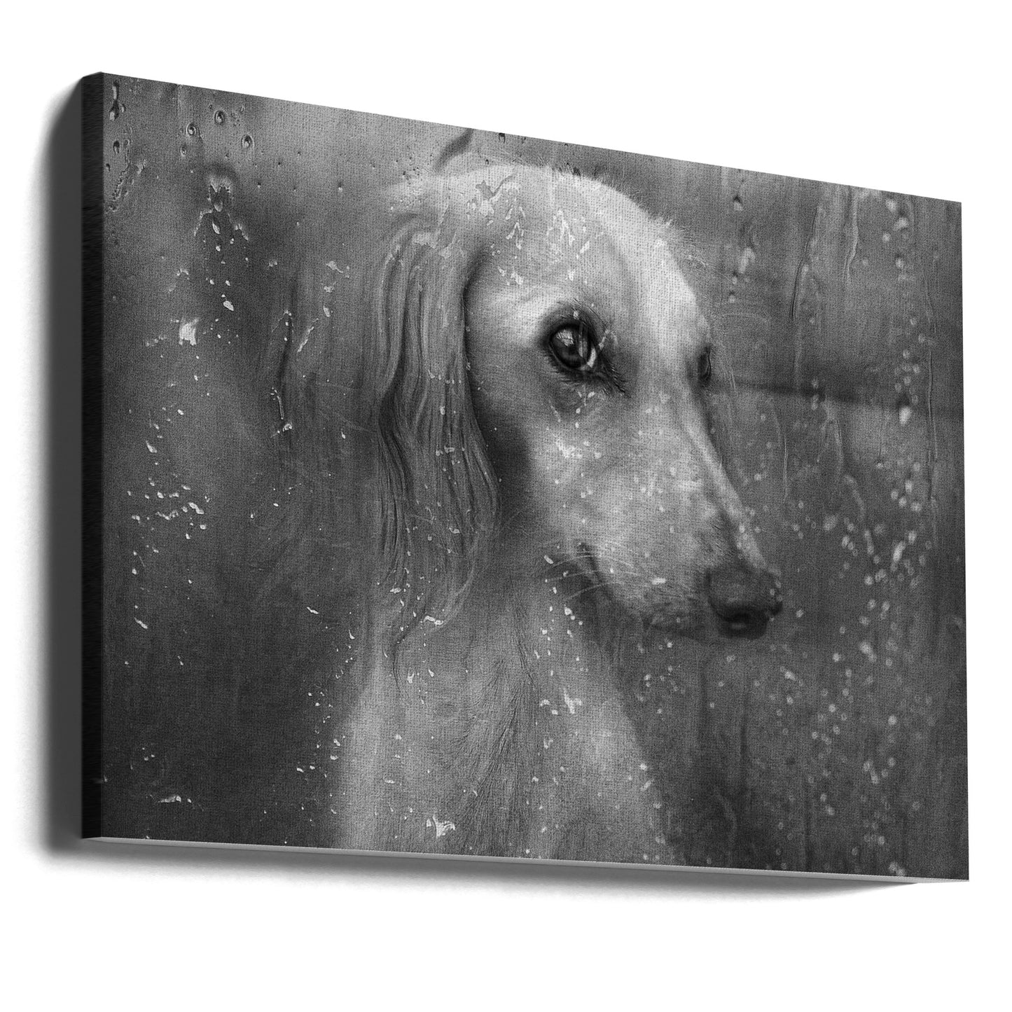 Höst | Canvas