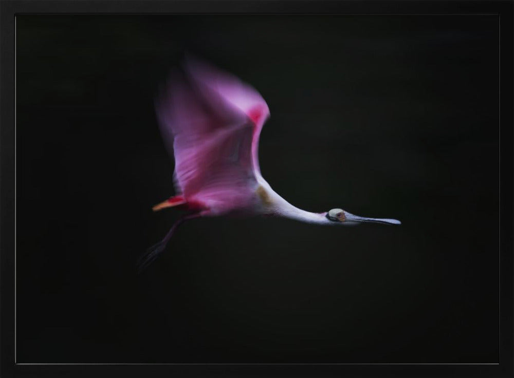 Rose in the Air | Poster