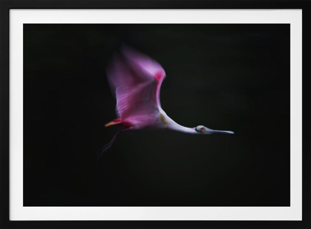 Rose in the Air | Poster