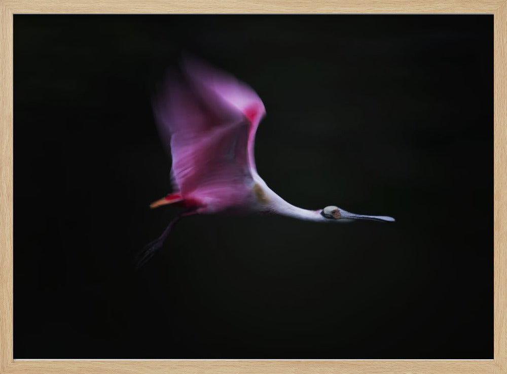 Rose in the Air | Poster