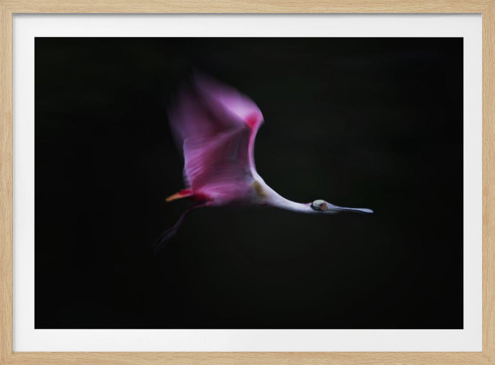 Rose in the Air | Poster