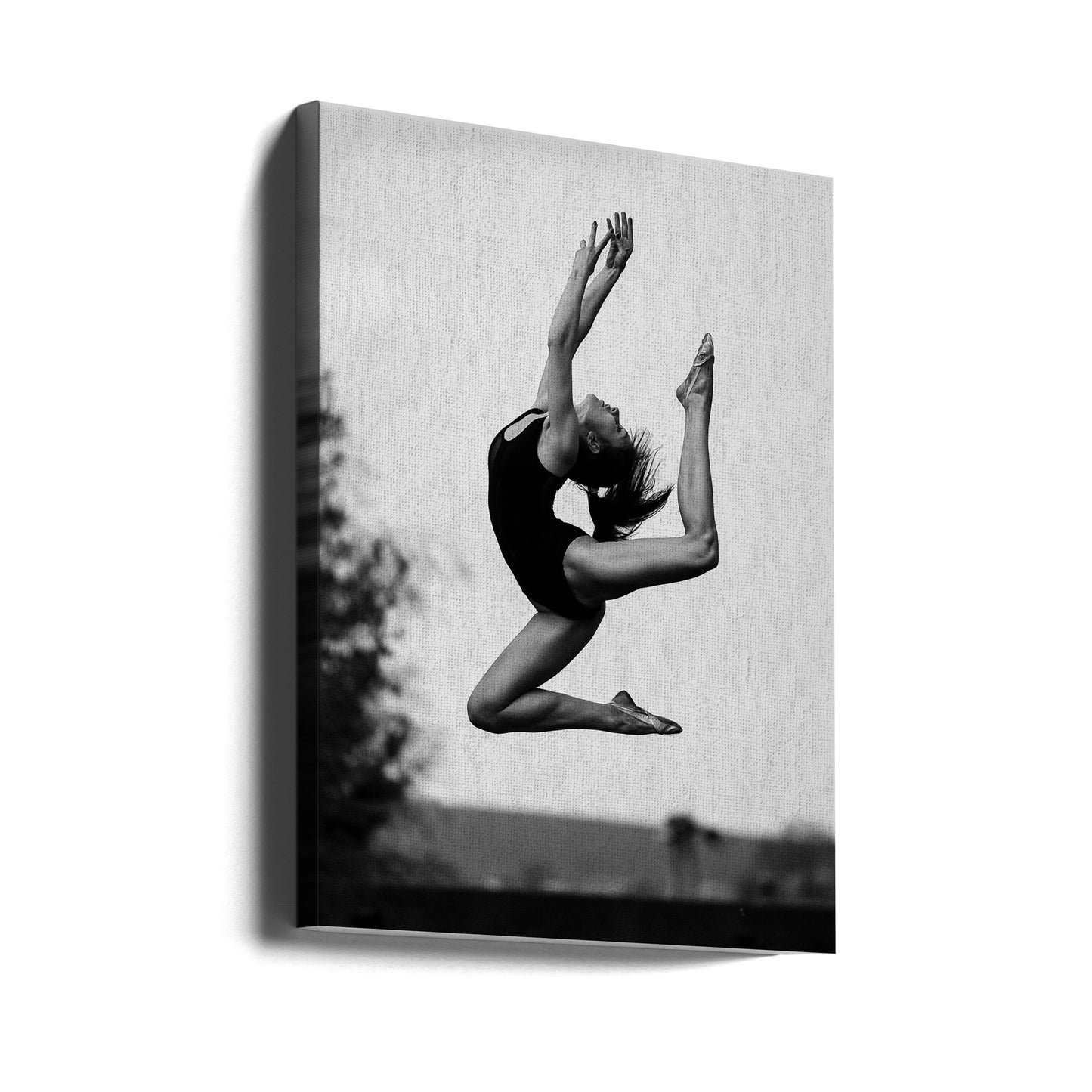 Dans | Canvas