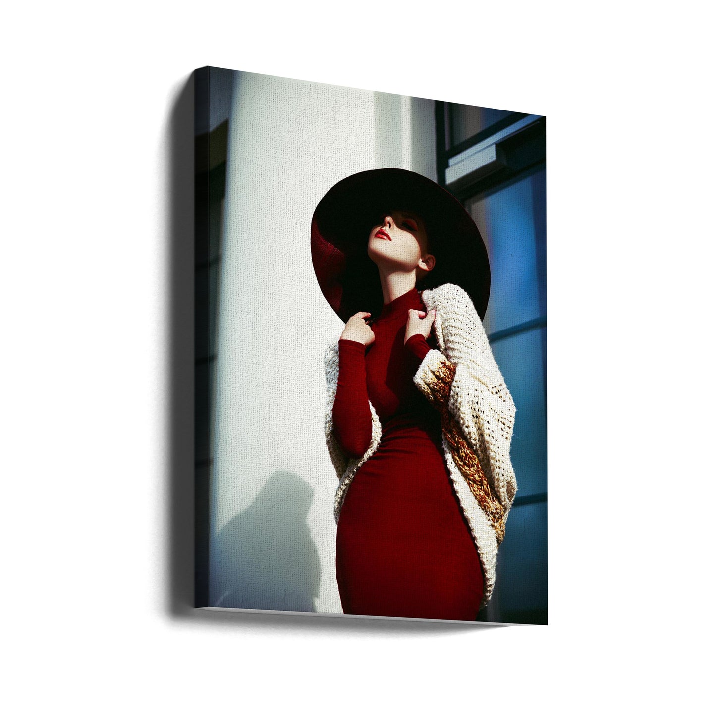 Eleganz im Schatten | Leinwand-Bilder