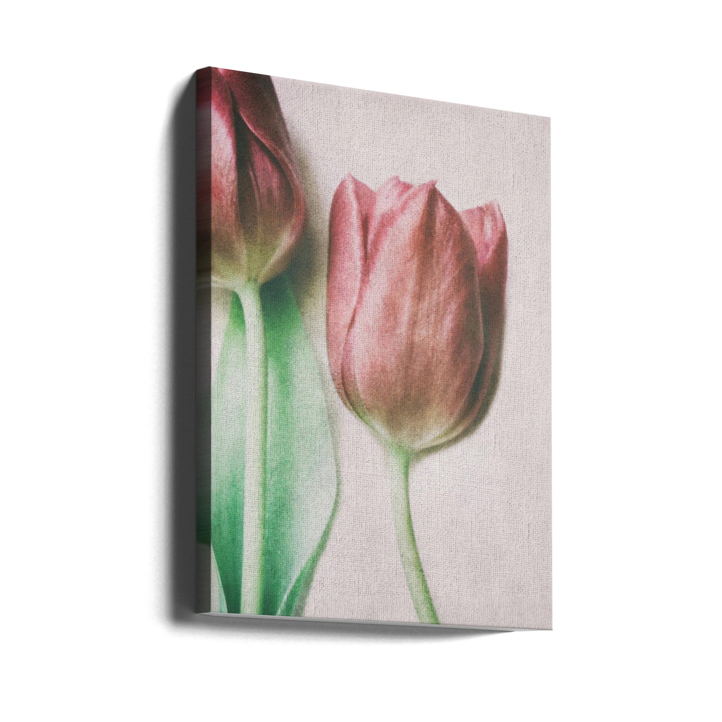 The Spring Lovers | Canvas