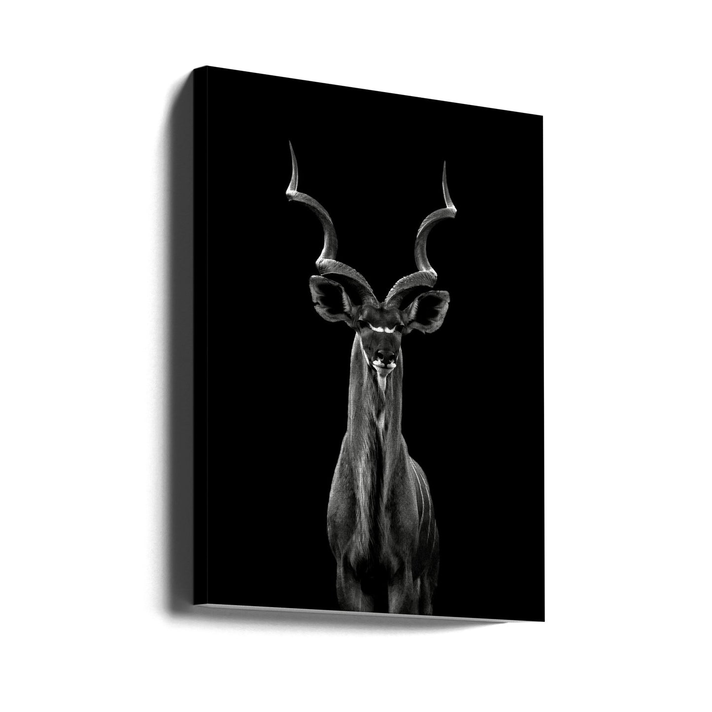 Gran Kudu | Impresiones en Lienzo