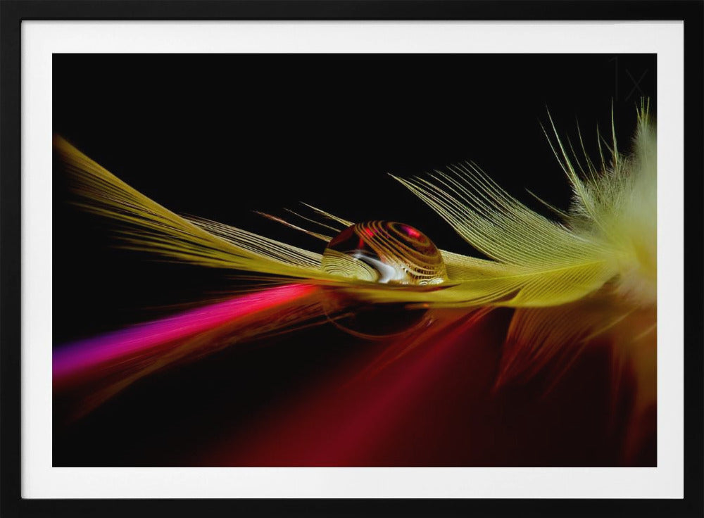 Colores en la gota | Posters  - Impresiones de Arte