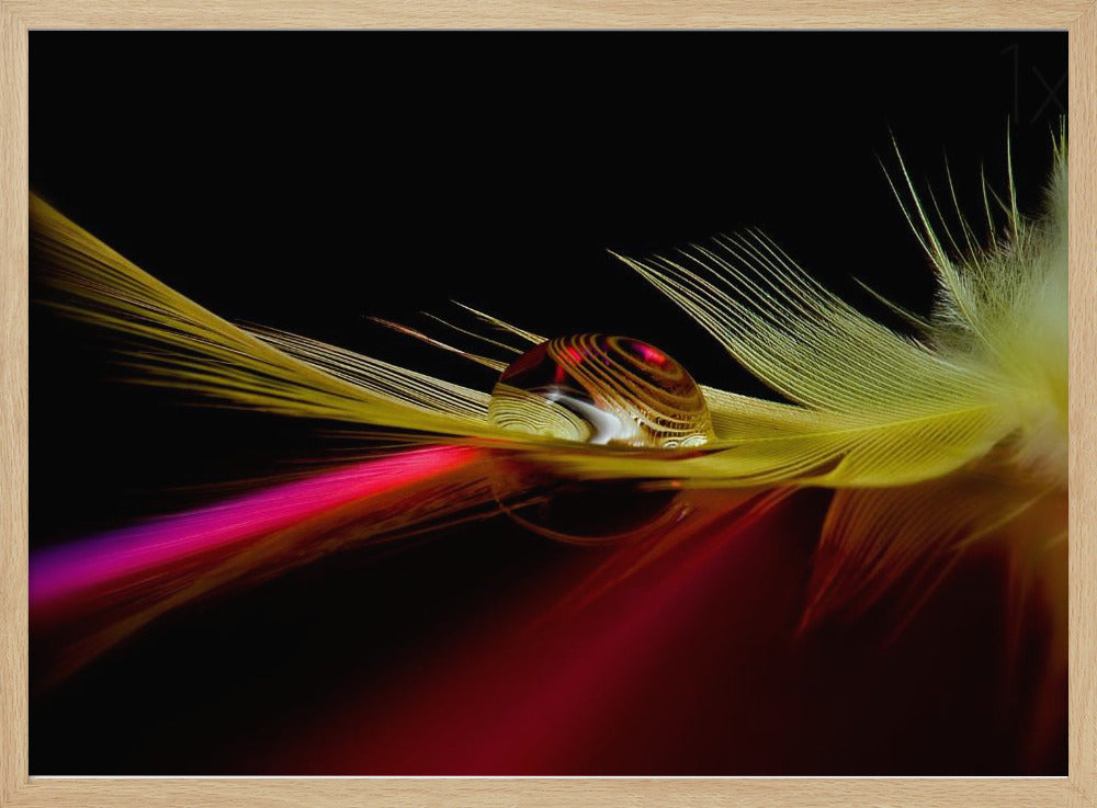 Colores en la gota | Posters  - Impresiones de Arte