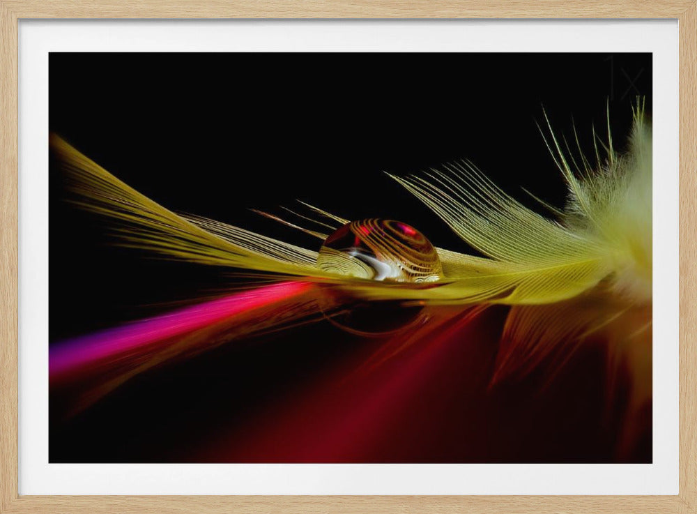 Colores en la gota | Posters  - Impresiones de Arte