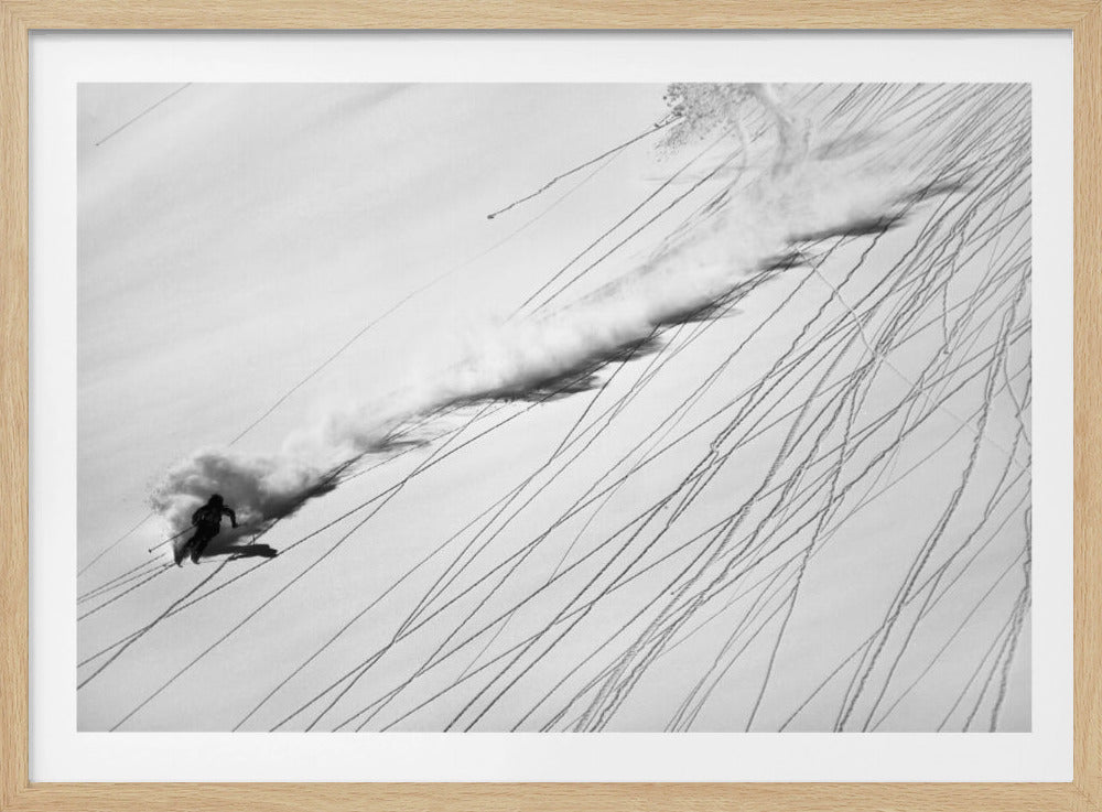 Skidåkning i pulver | Poster