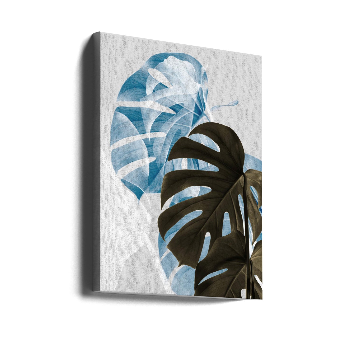 Monstera Kreativitet 02 | Canvas