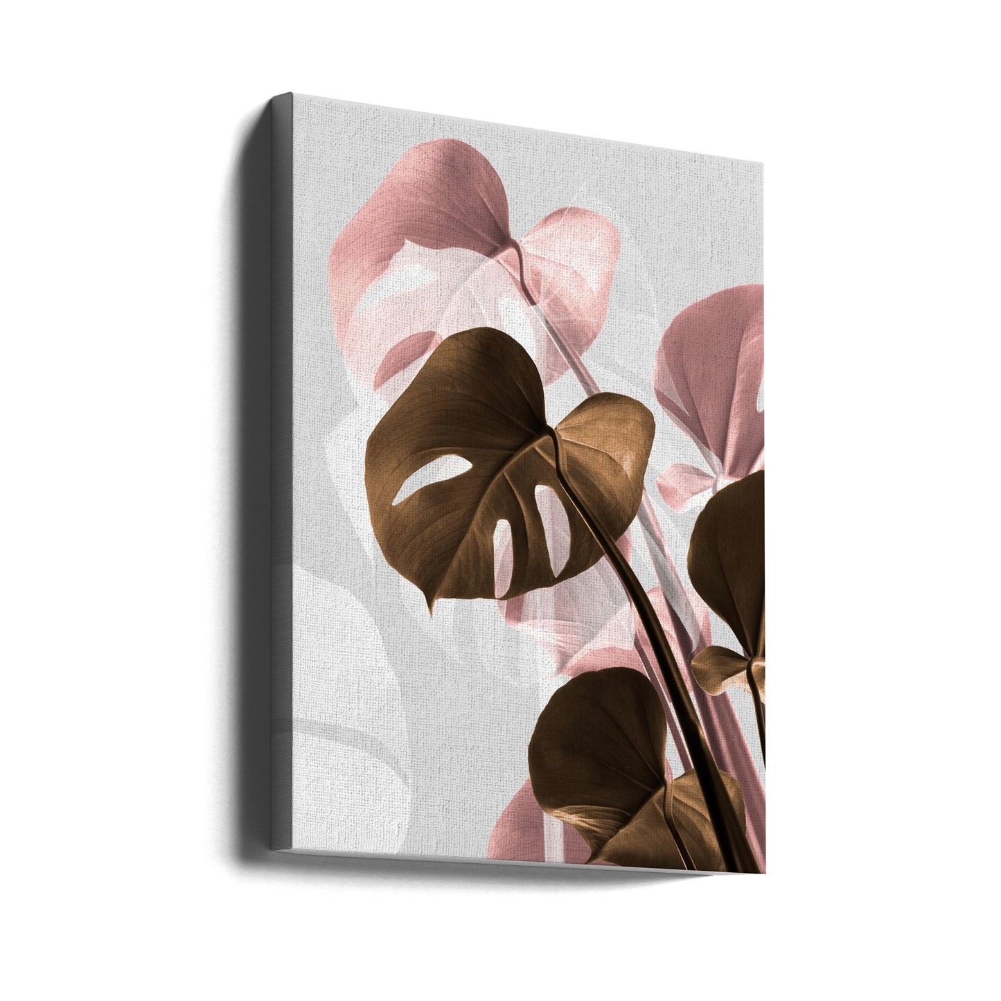 Monstera Creative 11 | Leinwand-Bilder