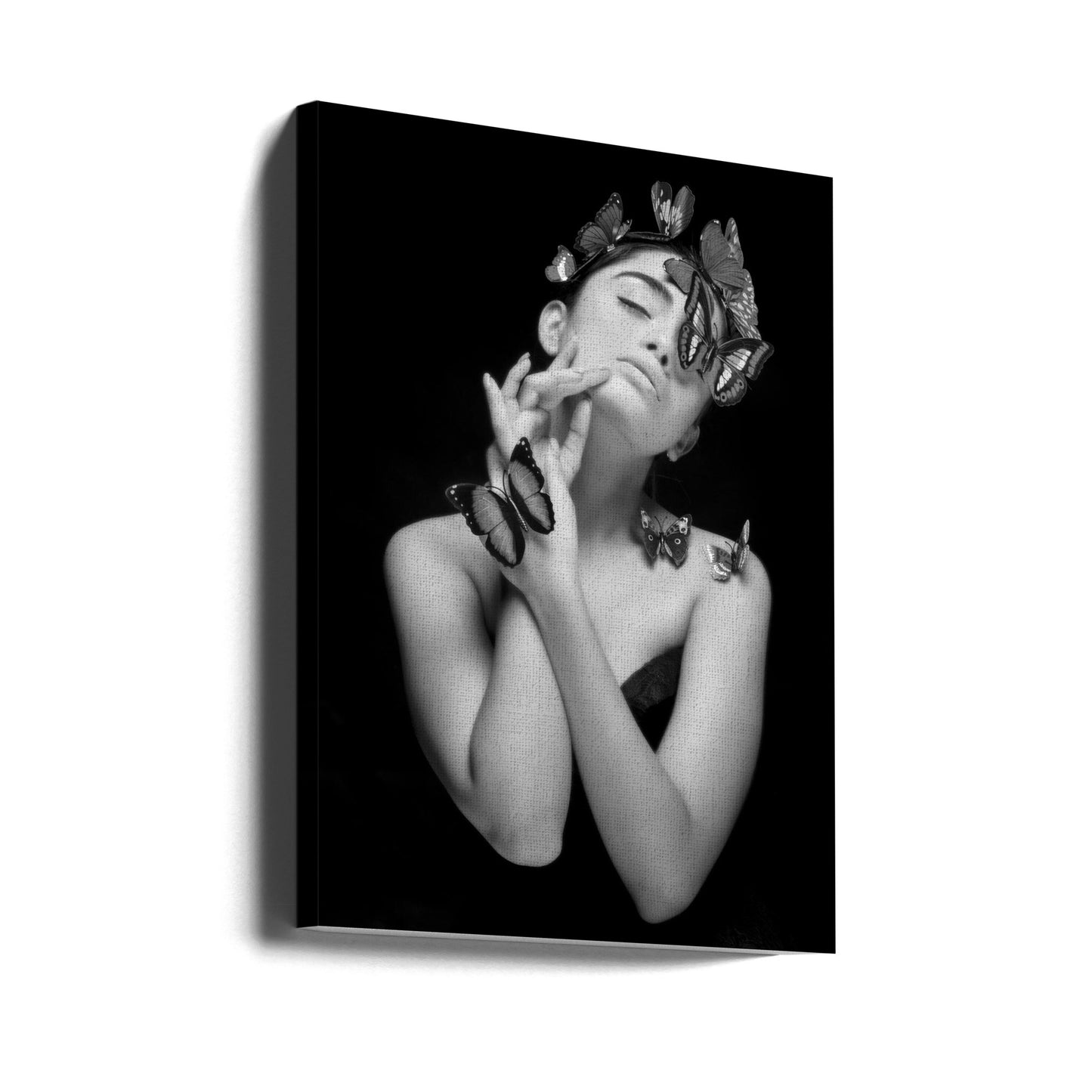 LA PASSION DE L'ÉLÉGANCE EN MONOCHROME | Tableaux sur Toile