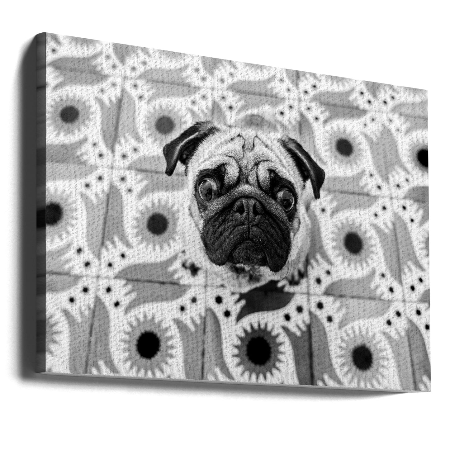 Vudú | Canvas