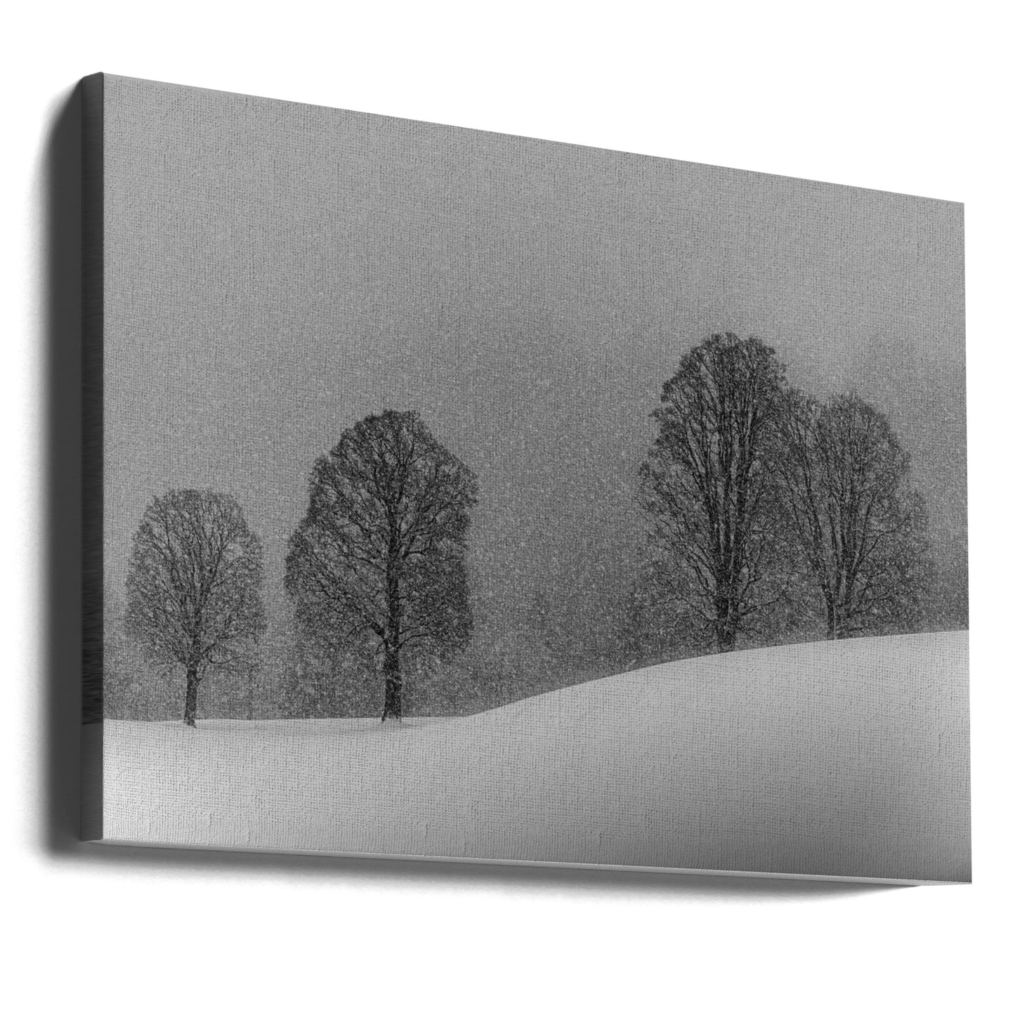 snow white | Canvas