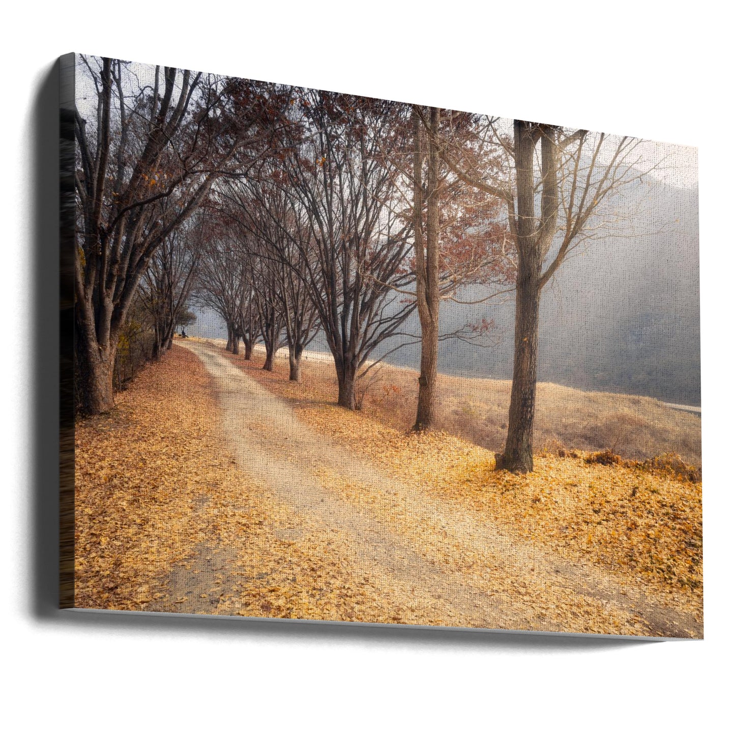 Au milieu de l'automne | Tableaux sur Toile