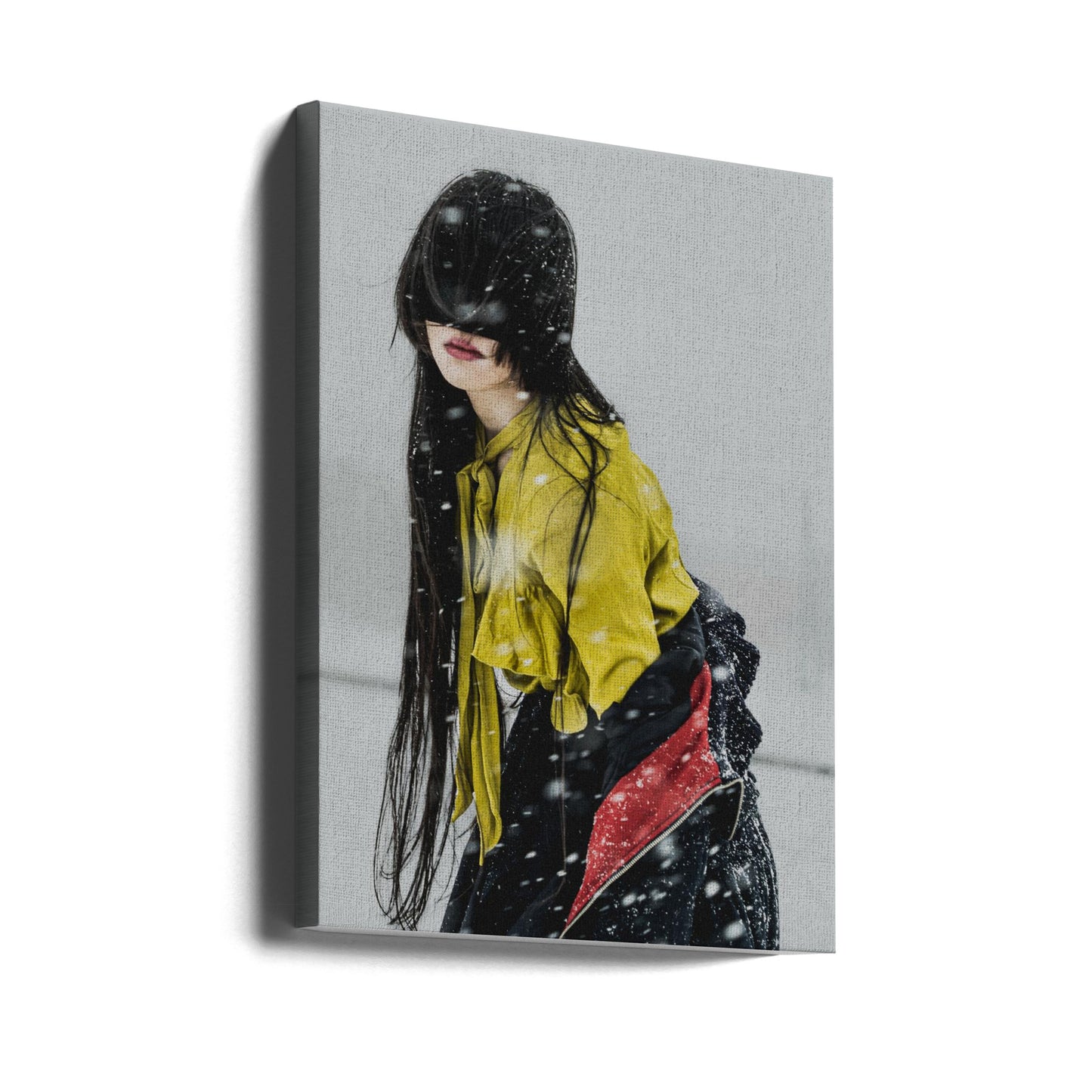 Le début de la neige | Tableaux sur Toile