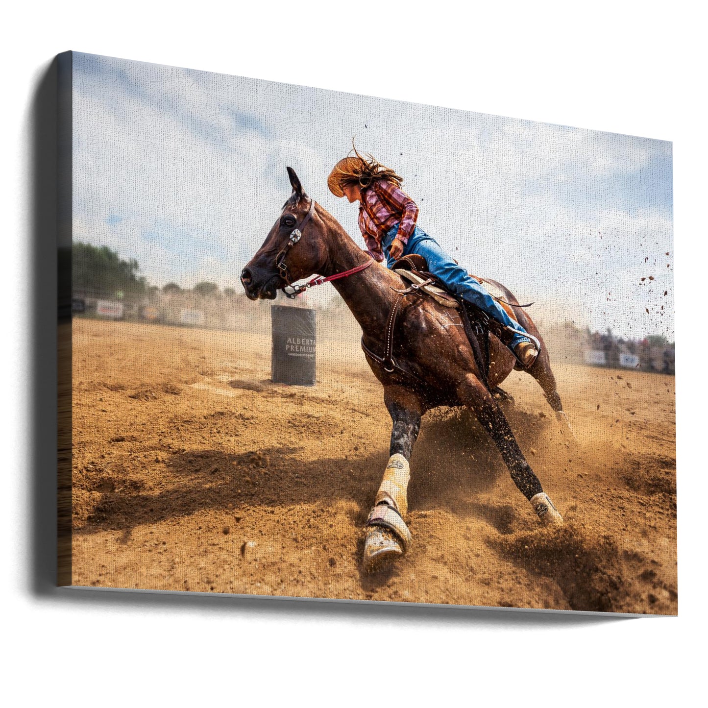 Slam on the Brakes | Canvas