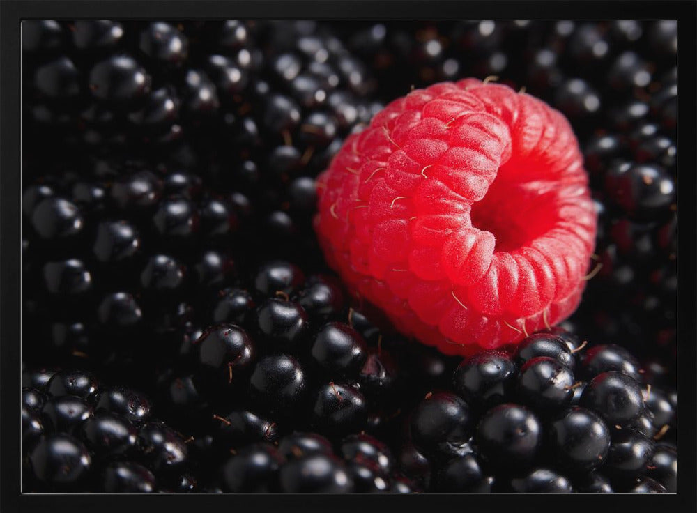 Berry different | Poster