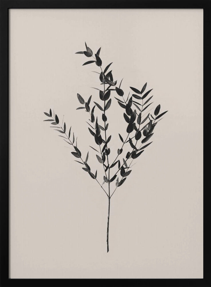 Botanique d'encre | Posters - Affiche Artistique