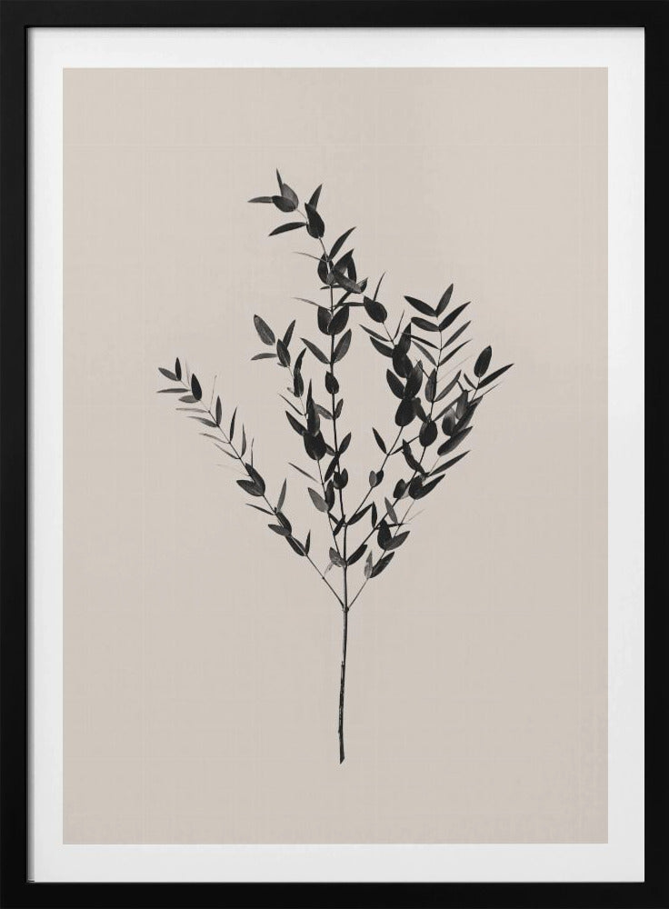 Botanique d'encre | Posters - Affiche Artistique