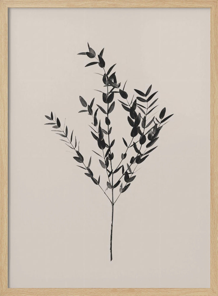 Botanique d'encre | Posters - Affiche Artistique