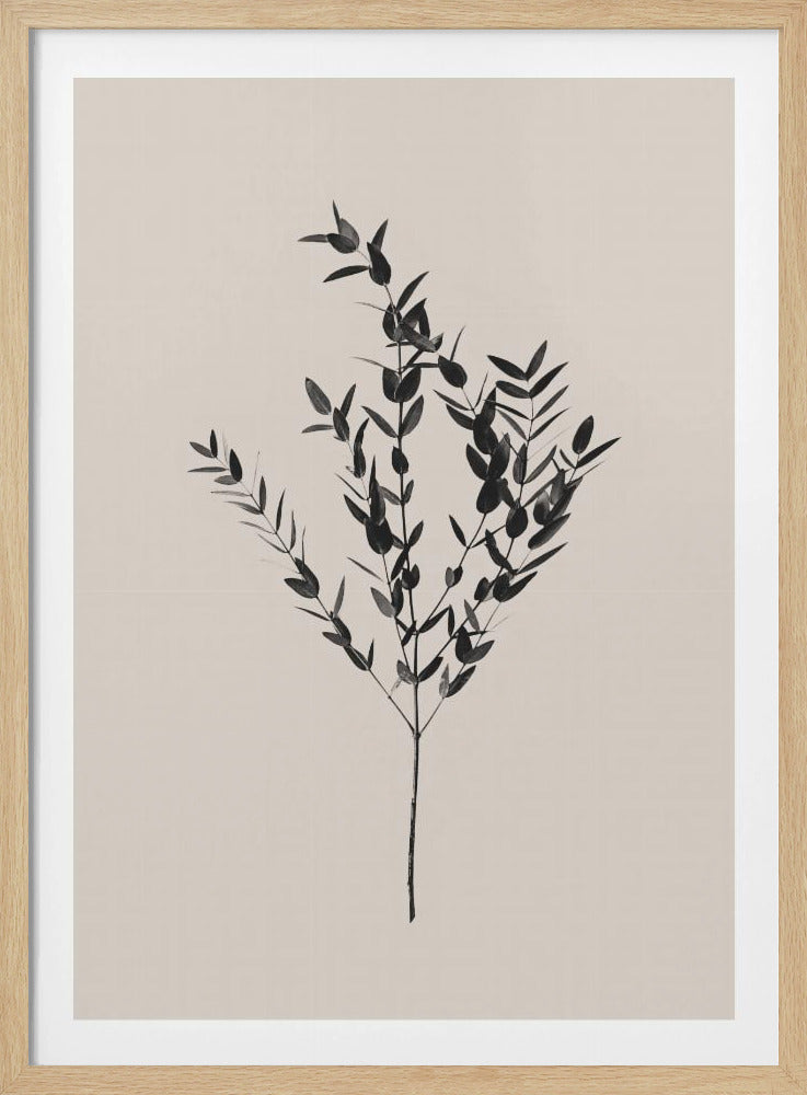 Botanique d'encre | Posters - Affiche Artistique