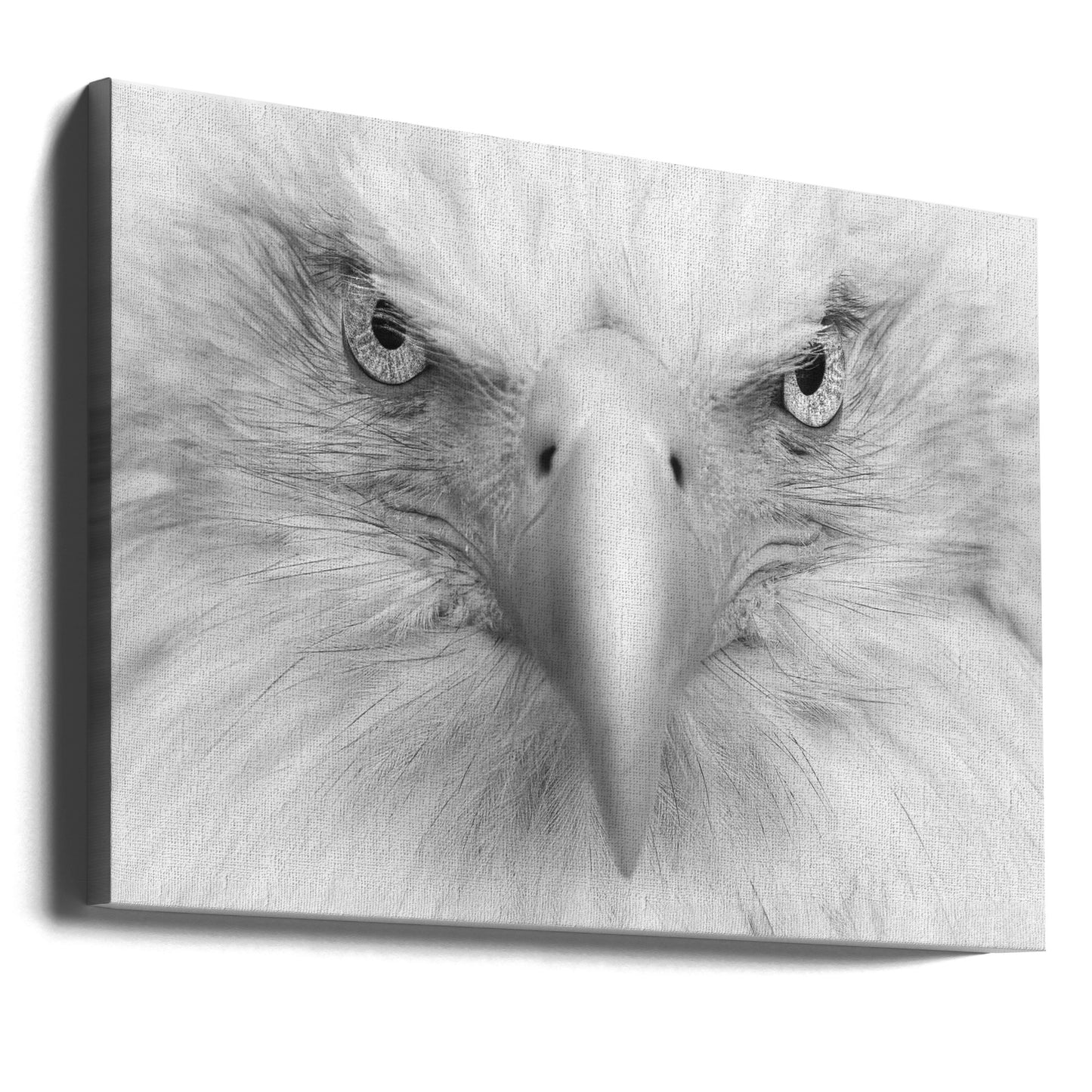 Yeux tueurs | Tableaux sur Toile