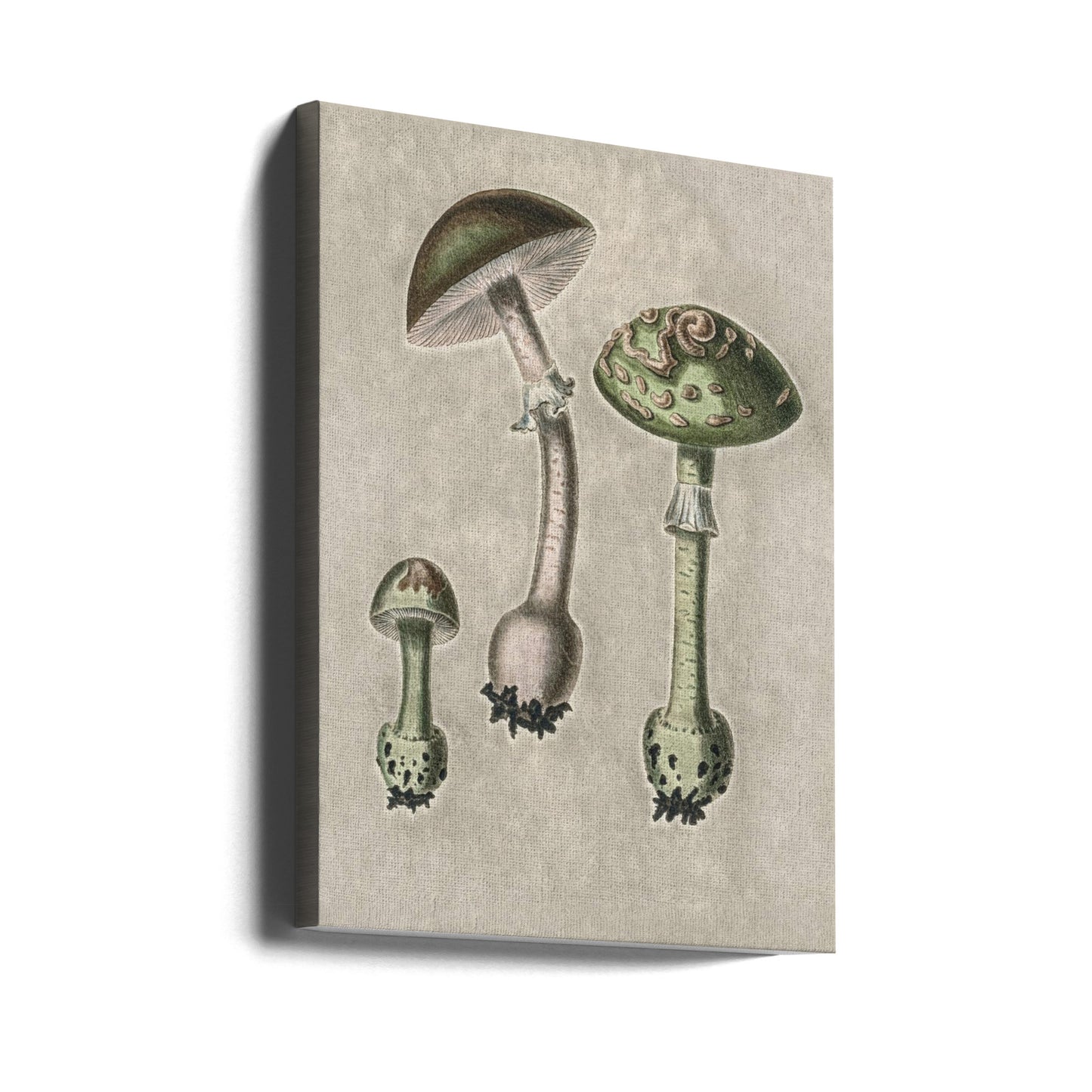 Amanita Muscaria Remix Grøn | Lærredsbilleder