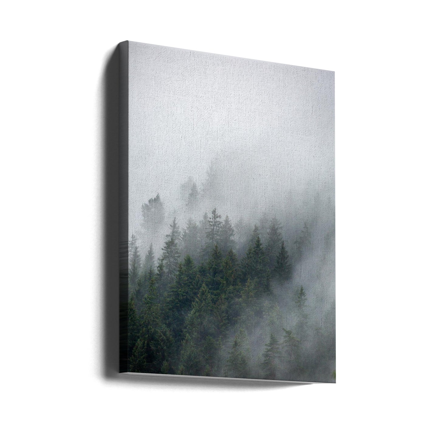 Foggy Morning 2 | Canvas