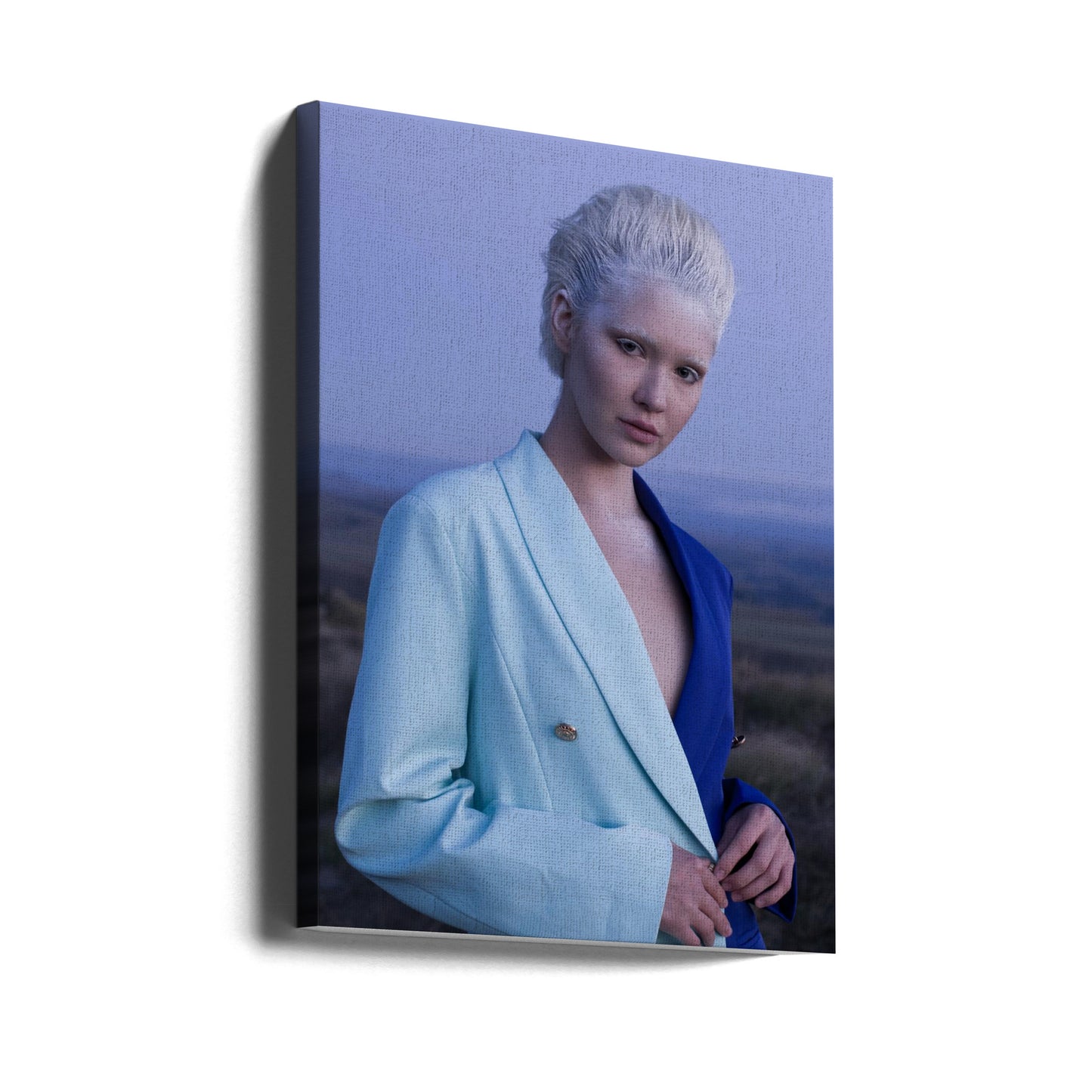 DE SNEEUWKONINGIN | Canvasprints