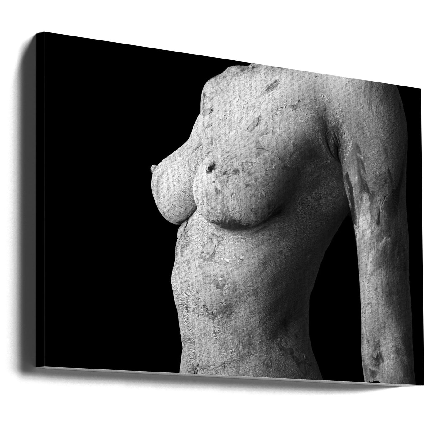 Avvikande skönhet | Canvas