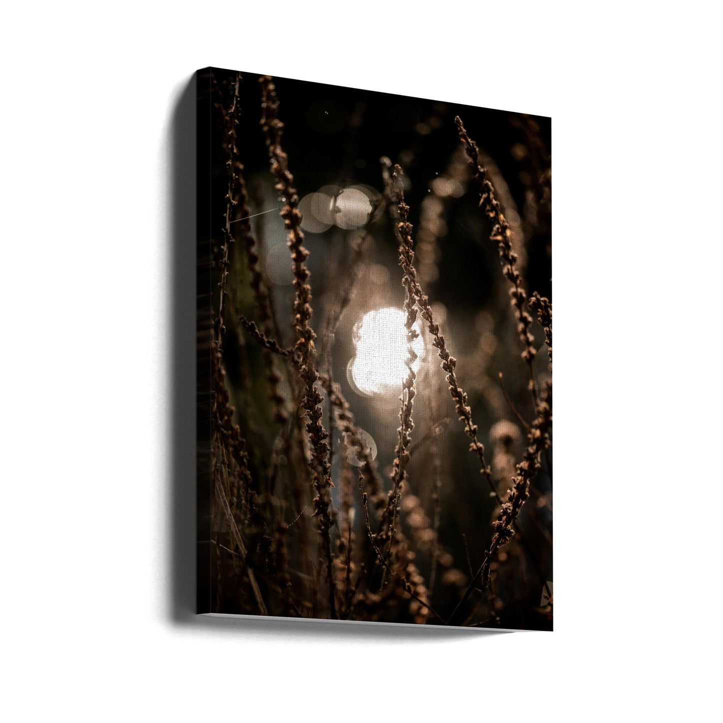 Herfstverlichting 2 | Canvasprints