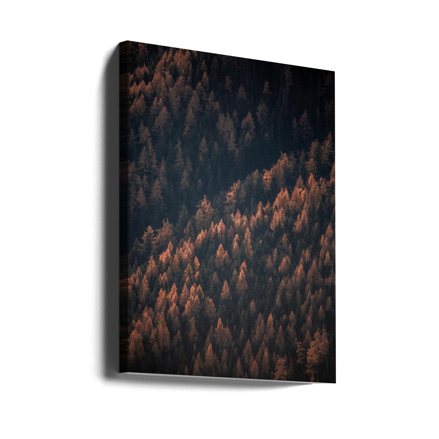 Høstskogen 2 | Lerretsbilder