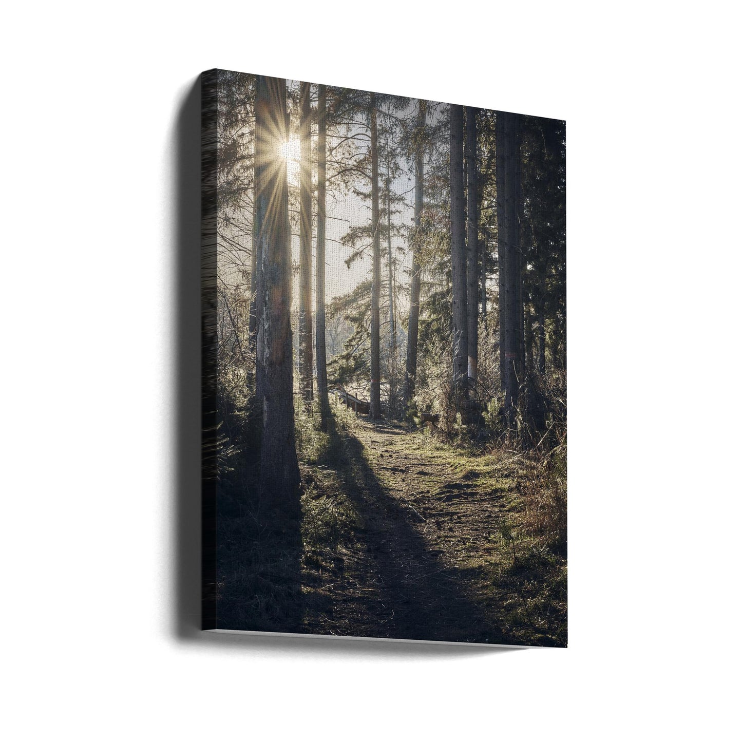 Dsf2913 Hdr 1 | Lerretsbilder
