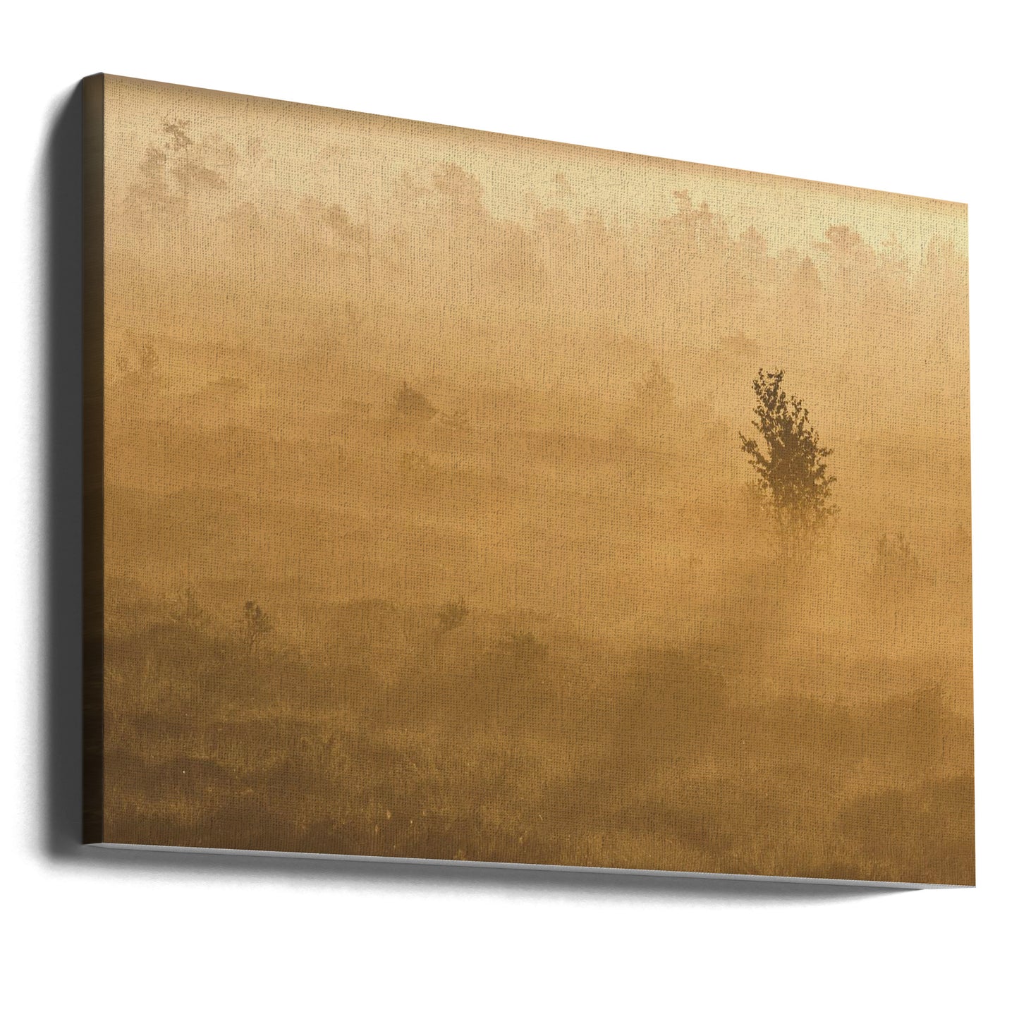 20220809 Dsf8029 2 | Tableaux sur Toile