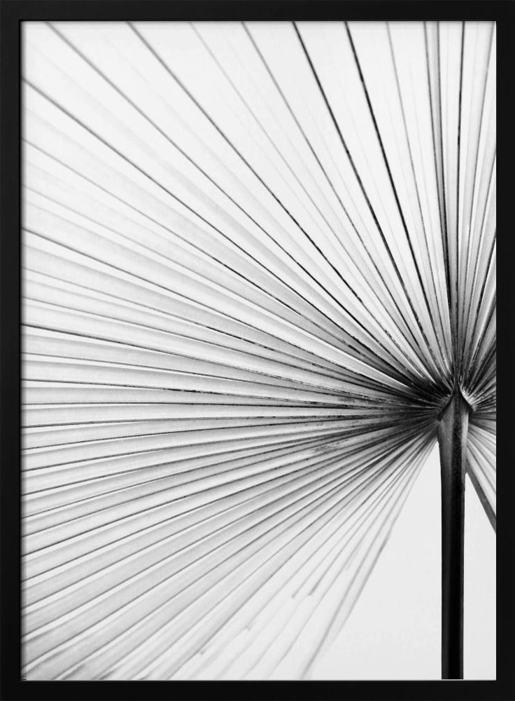 Leaf | Poster