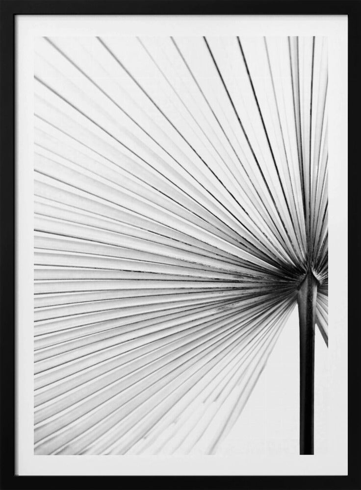 Leaf | Poster