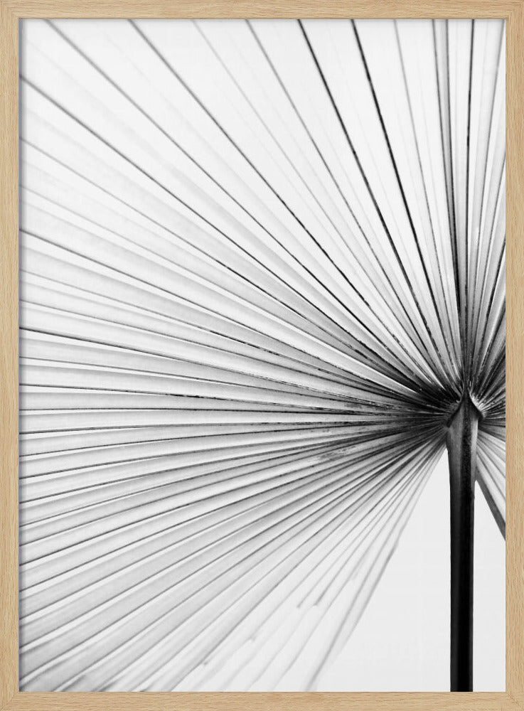Leaf | Poster
