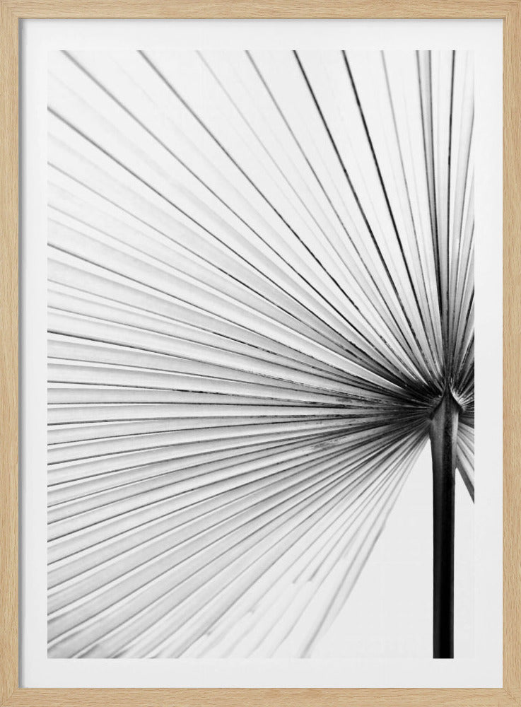 Leaf | Poster