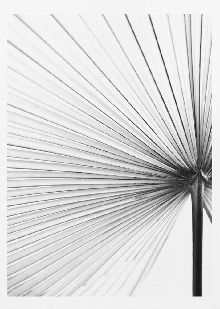 Leaf | Poster